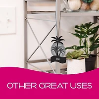 Assainisseur d’air en papier California Scents (parfum Givre, emballage de 4 Assainisseur d’air en papier (