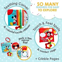 Disney Mickey Mouse at the Park Soft Book