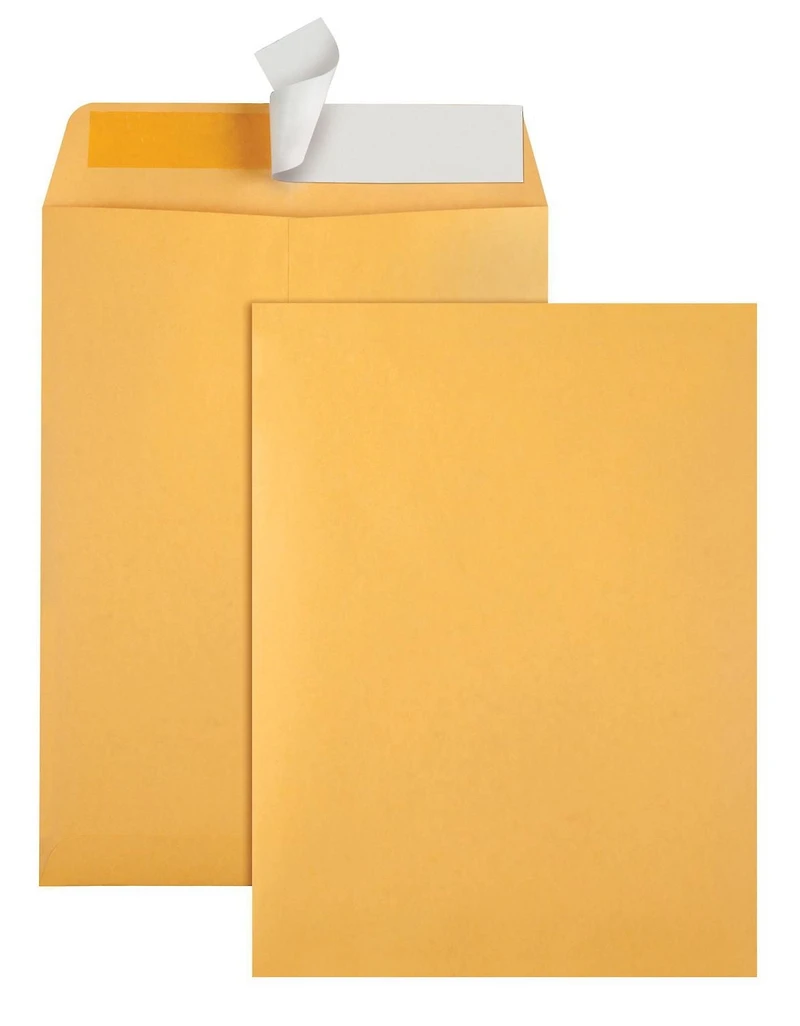 10x13 Catalog Peel & Seal Envelope, Brown Kraft, 20 Pack
