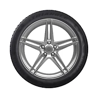 TRIANGLE WINTERX TW401 215/60R17 100V Tire
