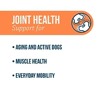 Synovi G4 Dog Joint Supplement Chews for Dogs of All Ages, Sizes and Breeds