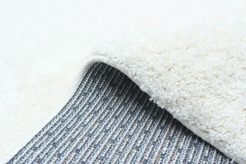 ECARPET Tapis Moderne à Poils Longs, Super Doux et Moelleux pour Salon, Chambre à Coucher, Foyer, Corridor, Derrière en Coton Antidérapant, Collection Blizz