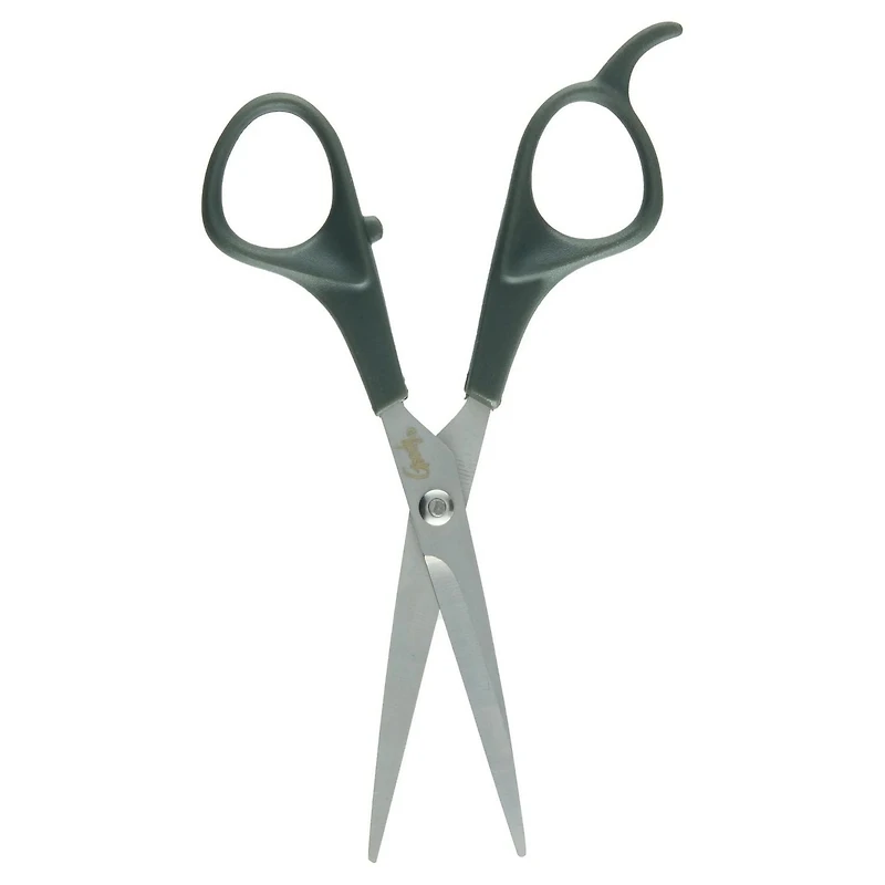 Ciseaux en acier inoxydable Goody - Ciseaux à cheveux - 6.5 Inches Silver 1 Ct Ciseaux Goody