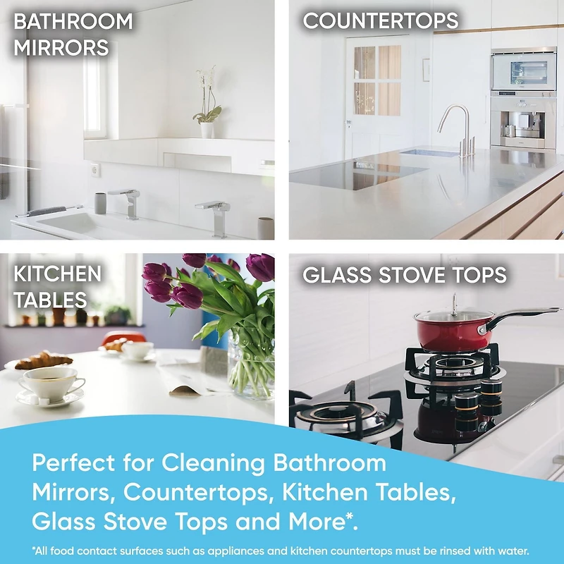 Windex Multi Surface Nettoyant Antibactérien Désinfectant