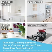 Windex Multi Surface Nettoyant Antibactérien Désinfectant