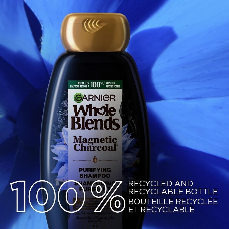 Garnier Whole Blends Magnetic Charcoal Purifying Shampoo for Greasy Scalp, Hydrates Dry Ends for Up to 48-Hours, with Charcoal - 346ml, Purifies greasy scalp