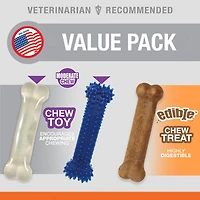 Nylabone Small Dog  Toy Value Pack, 3 Count, X-Small