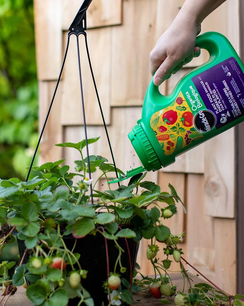 Miracle-Gro Biologique Engrais en granules 4-3-7 1.8 Kg 4-3-7  1,8kg