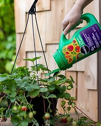 Miracle-Gro Biologique Engrais en granules 4-3-7 1.8 Kg 4-3-7  1,8kg