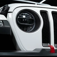 Turtle Wax Bug & Tar Remover, Bug and Tar