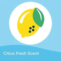 Windex Multi Surface Nettoyant Antibactérien Désinfectant