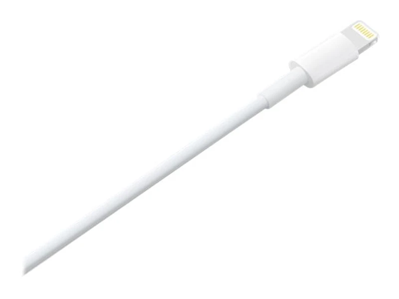 Câble Lightning vers USB Apple (1 m)