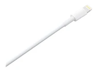 Câble Lightning vers USB Apple (1 m)