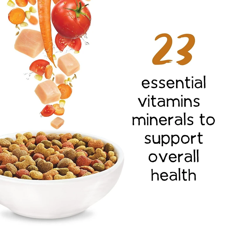 Beneful Originals with Real Chicken, Dry Dog Food