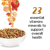 Beneful Originals with Real Chicken, Dry Dog Food