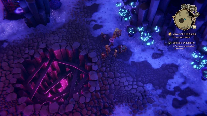 Jeu vidéo The Dungeon of Naheulbeuk: The Amulet of Chaos pour (PS4)