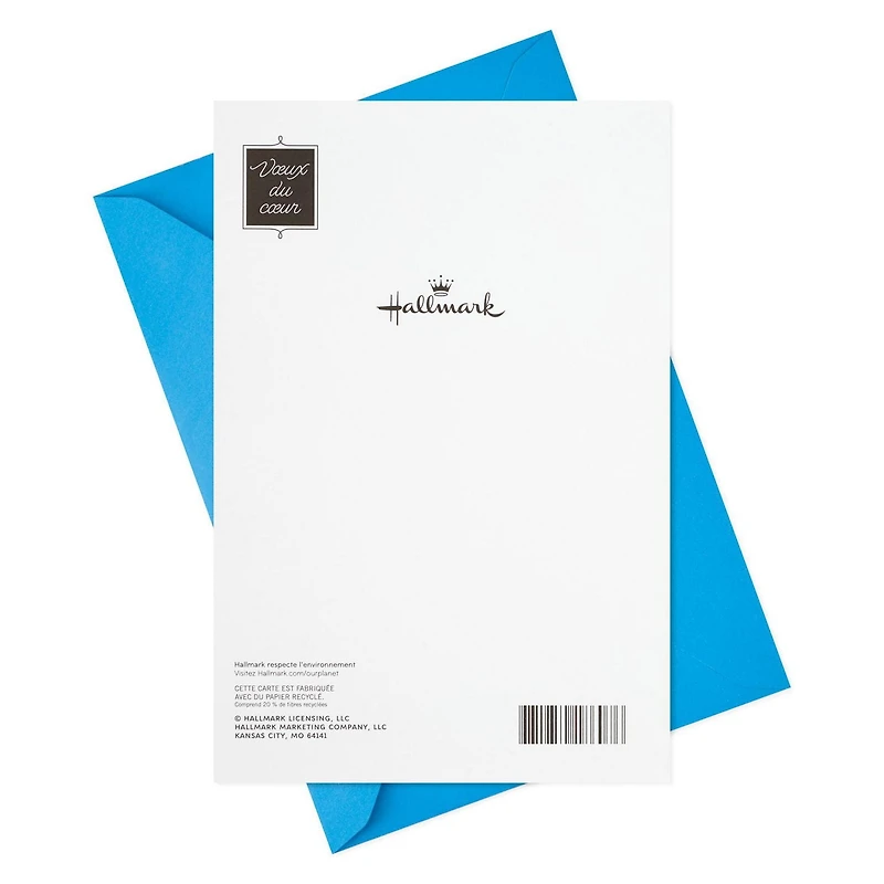 Carte comique de fête pour un époux – Hallmark (Oiseaux)