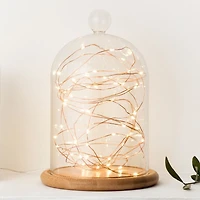 Corde de lumières DEL extérieures en cuivre à énergie solaire de Sharper Image