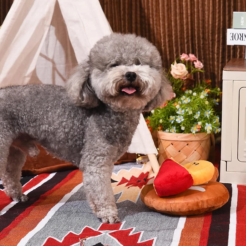 Hugsmart Cheese Board Dog Plush Toy