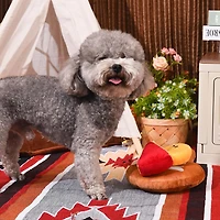 Hugsmart Cheese Board Dog Plush Toy