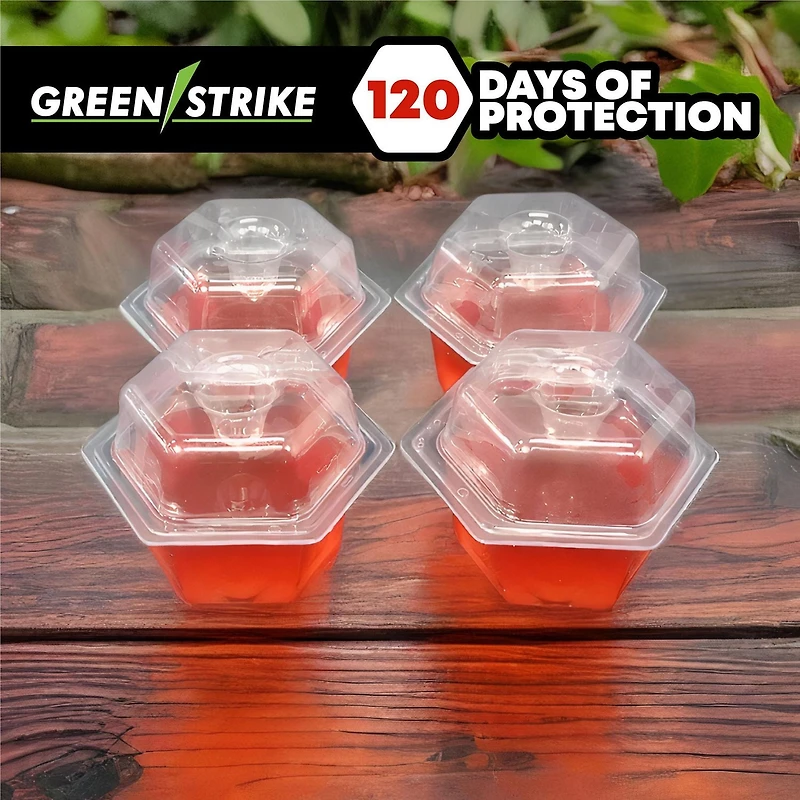 GREENSTRIKE® Piège à mouches des fruits prérempli - 4 Paquet