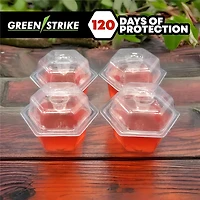 GREENSTRIKE® Piège à mouches des fruits prérempli - 4 Paquet