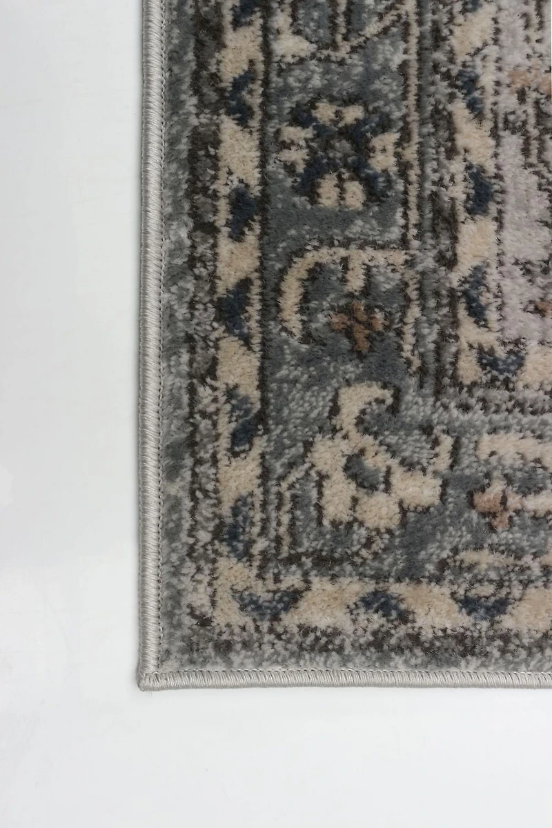 ECARPET Vintage Oriental Area Rug for Living Room Bedroom