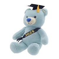 2025 Graduation 12" Blue Teddy Bear Plush