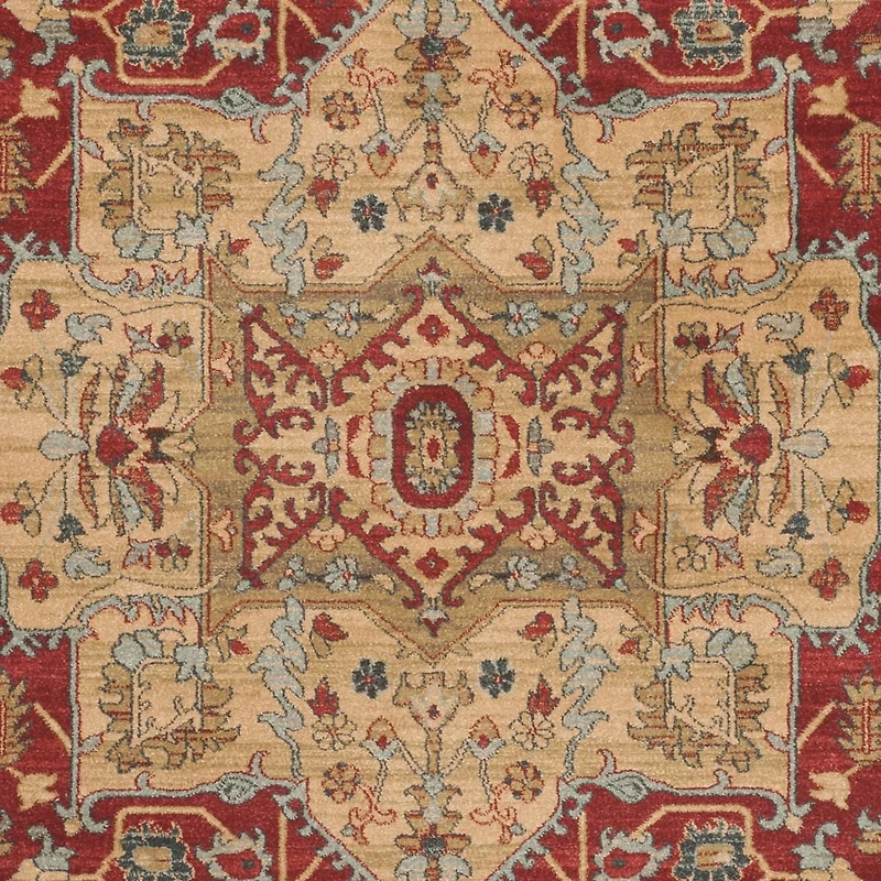 Safavieh Mahal Trecia Tapis Traditionnel