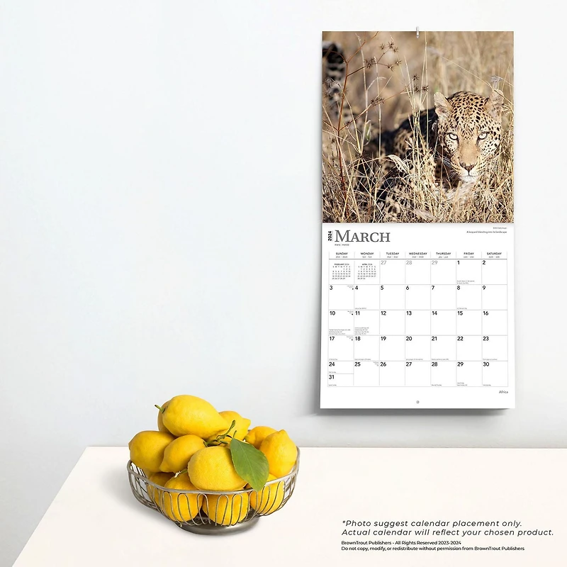 BrownTrout Africa 2024 12x24 Inch Square Wall Calendar, 9781975467357