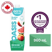 Melon d'Eau Pomme Jus de Fruits 960 mL