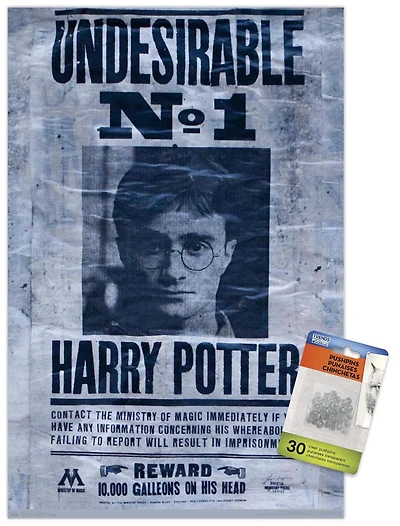 Le Monde des Sorciers : Harry Potter - Indésirable