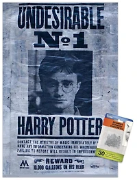 Le Monde des Sorciers : Harry Potter - Indésirable
