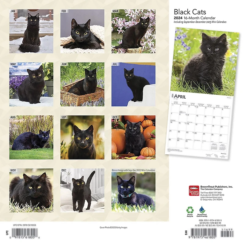 BrownTrout Black Cats 2024 12x24 Inch Square Wall Calendar, 9781975461805