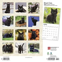 BrownTrout Black Cats 2024 12x24 Inch Square Wall Calendar, 9781975461805