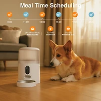 Instachew Purechew Mangeoire automatique double pour animaux de compagnie, séparateur à deux voies et double bol pour chats et chiens