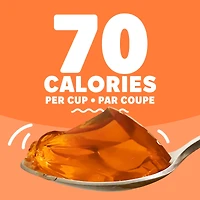 Goûters À La Gelée Réfrigéré À Saveur D'Orange, Paquet De 4 Coupes x 96g