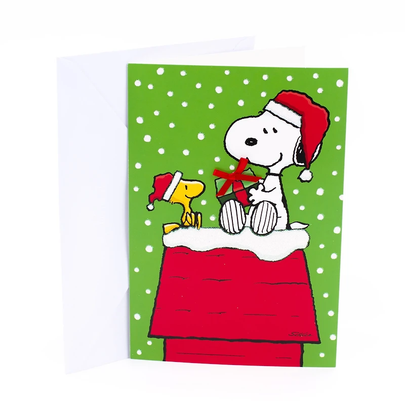 CRDBX SNOOPY ON DOG - FRENCH