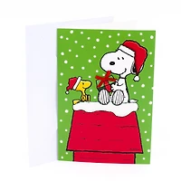 CRDBX SNOOPY ON DOG - FRENCH