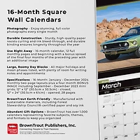 BrownTrout Mustang OFFICIAL 2024 12x24 Inch Square Wall Calendar, 9781975466695
