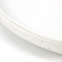 SAB Luna 10.25 inch Dinner Plate