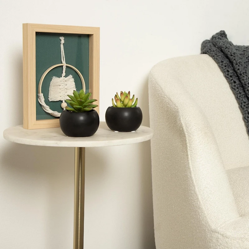 Hometrends Kelvin Succulent A