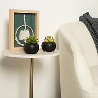 Hometrends Kelvin Succulent A
