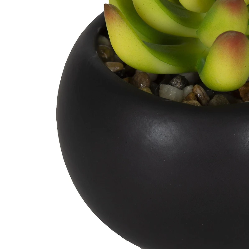Hometrends Kelvin Succulent A