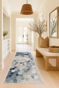 Rug Branch Havana Collection Traditional Distressed Area