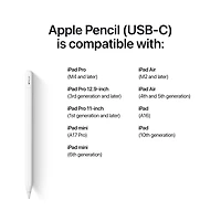 Apple Pencil (USB-C)