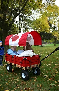 Millside Classic Canada Kids wood Wagon with pads