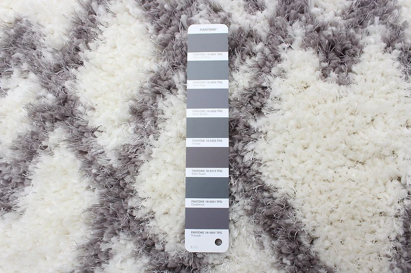 ECARPET Modern Luxury Shag Area Rug for Living Room, Bedroom, Super Soft & Plush