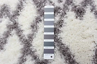 ECARPET Modern Luxury Shag Area Rug for Living Room, Bedroom, Super Soft & Plush