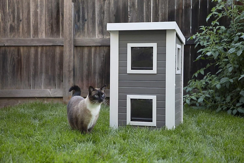 NewAge Feral Cat 2 Storey Townhouse Gray And White